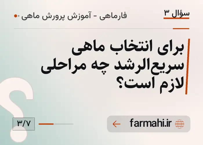 برای انتخاب ماهی سریع‌الرشد چه مراحلی لازم است؟