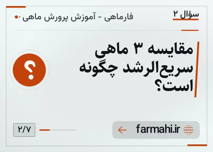 مقایسه ۳ ماهی سریع‌الرشد چگونه است؟