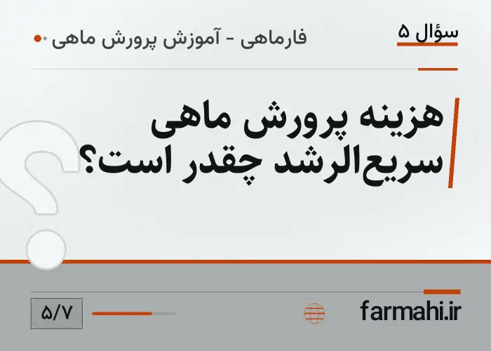 هزینه پرورش ماهی سریع‌الرشد چقدر است؟