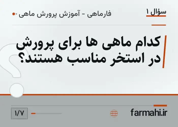 کدام ماهی ها برای پرورش در استخر مناسب هستند؟