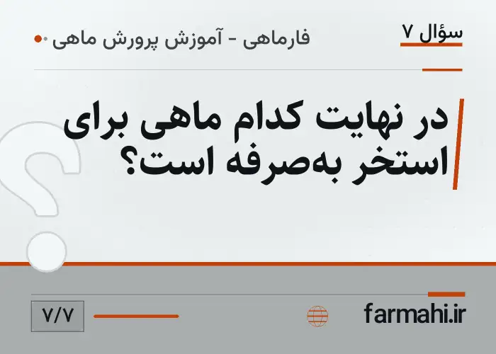 در نهایت کدام ماهی برای استخر به‌صرفه است؟