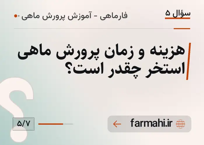 هزینه و زمان پرورش ماهی استخر چقدر است؟