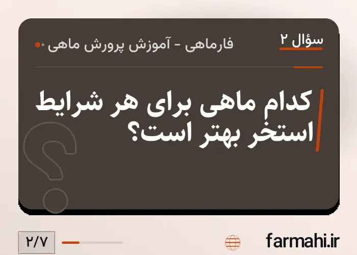 کدام ماهی برای هر شرایط استخر بهتر است؟