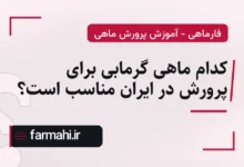 کدام ماهی گرمابی برای پرورش در ایران مناسب است؟