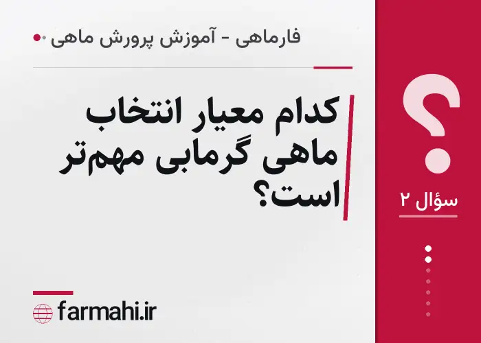 کدام معیار انتخاب ماهی گرمابی مهم‌تر است؟