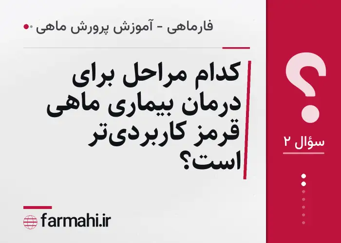 کدام مراحل برای درمان بیماری ماهی قرمز کاربردی‌تر است؟