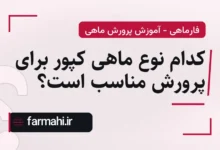 کدام نوع ماهی کپور برای پرورش مناسب است؟