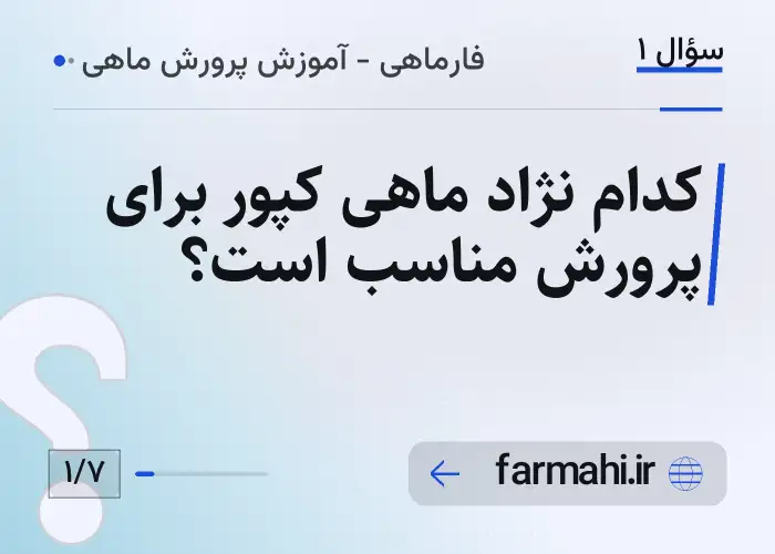 کدام نژاد ماهی کپور برای پرورش مناسب است؟