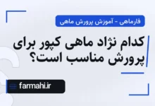 کدام نژاد ماهی کپور برای پرورش مناسب است؟