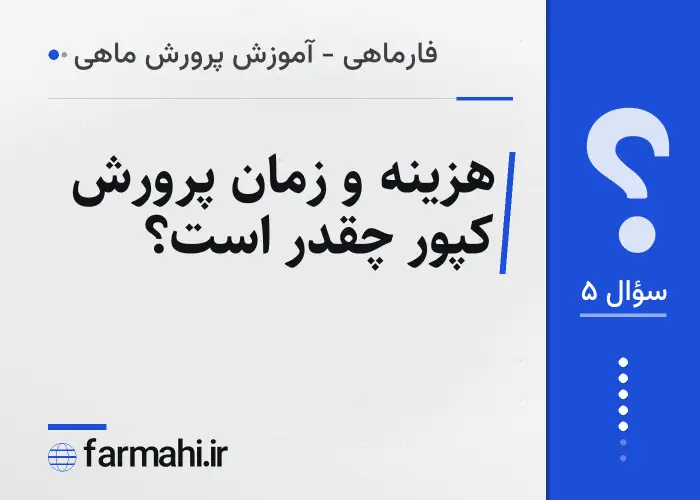 هزینه و زمان پرورش کپور چقدر است؟