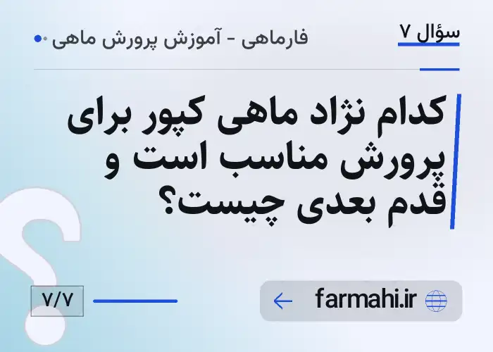 کدام نژاد ماهی کپور برای پرورش مناسب است و قدم بعدی چیست؟