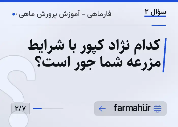 کدام نژاد کپور با شرایط مزرعه شما جور است؟