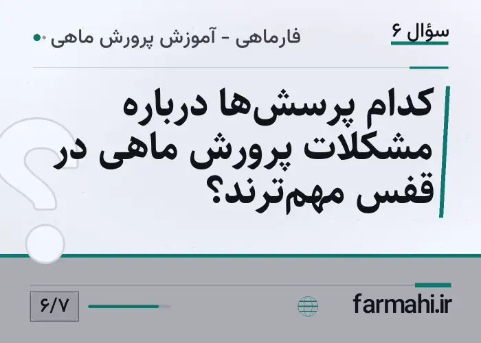 کدام پرسش‌ها درباره مشکلات پرورش ماهی در قفس مهم‌ترند؟