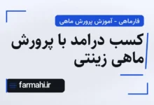 کسب درامد با پرورش ماهی زینتی