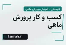 کسب و کار پرورش ماهی