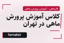 کلاس آموزش پرورش ماهی در تهران