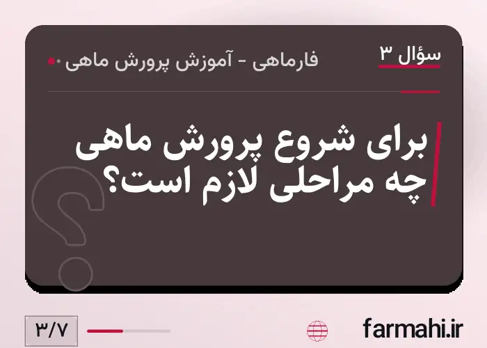 برای شروع پرورش ماهی چه مراحلی لازم است؟