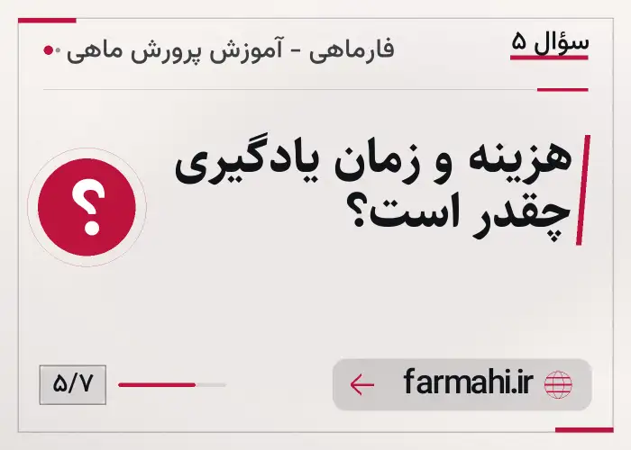 هزینه و زمان یادگیری چقدر است؟
