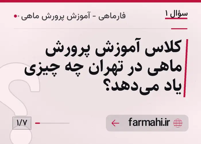 کلاس آموزش پرورش ماهی در تهران چه چیزی یاد می‌دهد؟