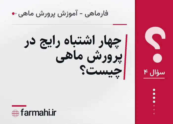 چهار اشتباه رایج در پرورش ماهی چیست؟
