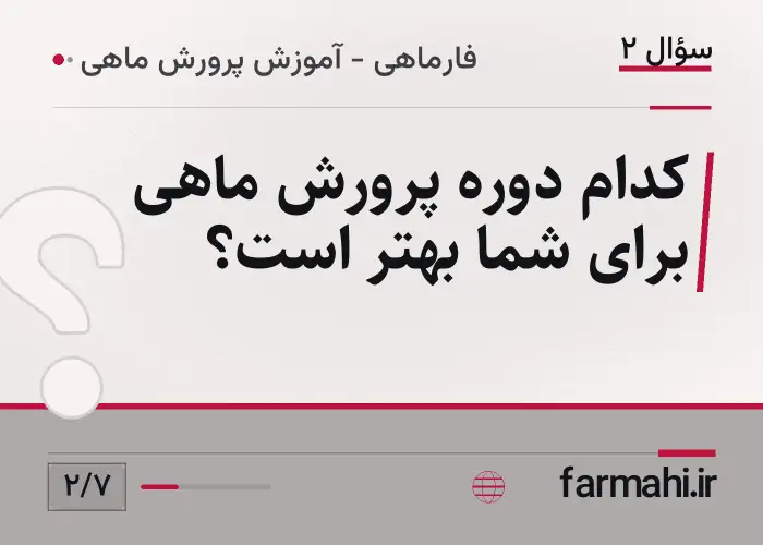 کدام دوره پرورش ماهی برای شما بهتر است؟