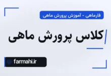 کلاس پرورش ماهی