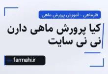 کیا پرورش ماهی دارن نی نی سایت