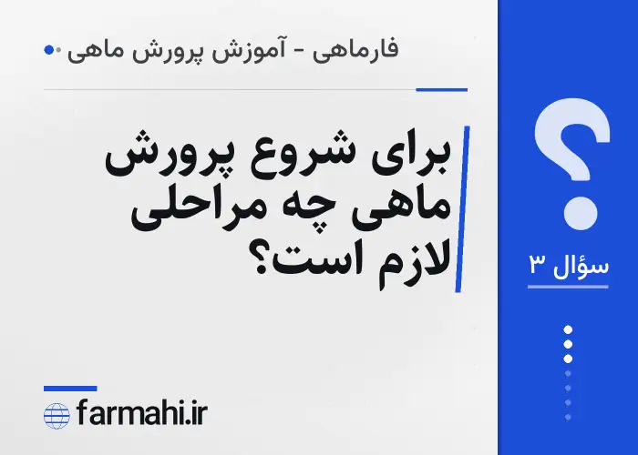 برای شروع پرورش ماهی چه مراحلی لازم است؟