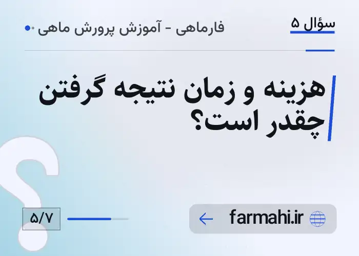 هزینه و زمان نتیجه گرفتن چقدر است؟
