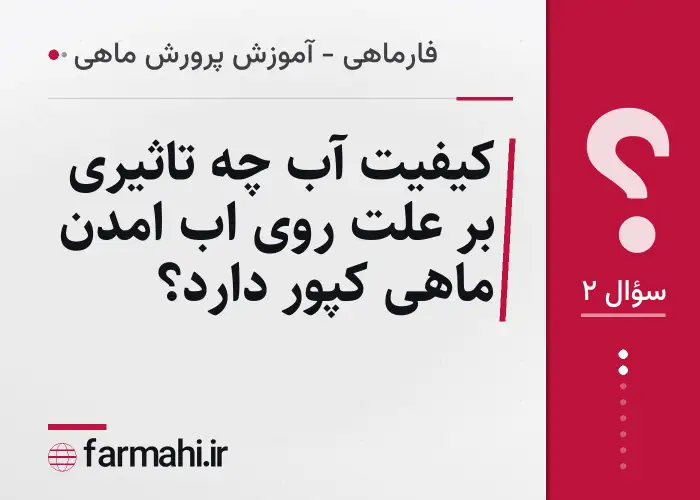 کیفیت آب چه تاثیری بر علت روی اب امدن ماهی کپور دارد؟