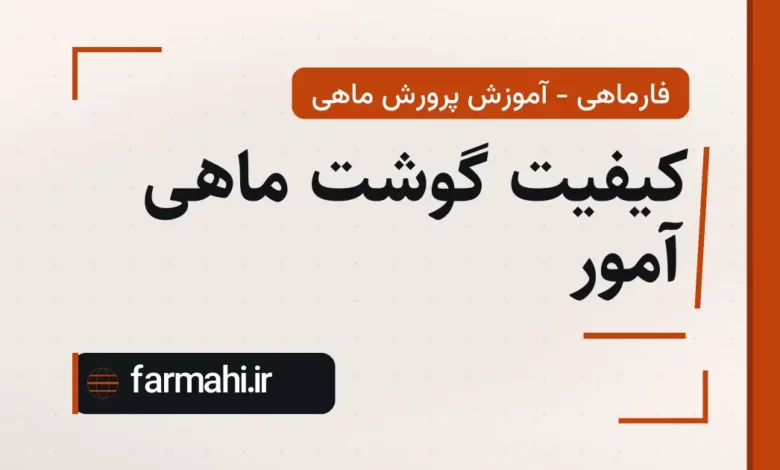 کیفیت گوشت ماهی آمور