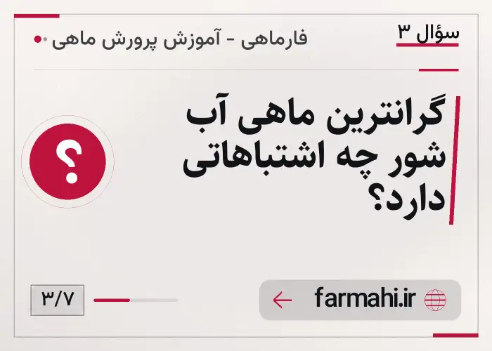 گرانترین ماهی آب شور چه اشتباهاتی دارد؟