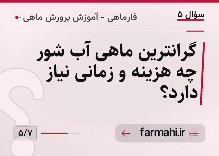 گرانترین ماهی آب شور چه هزینه و زمانی نیاز دارد؟