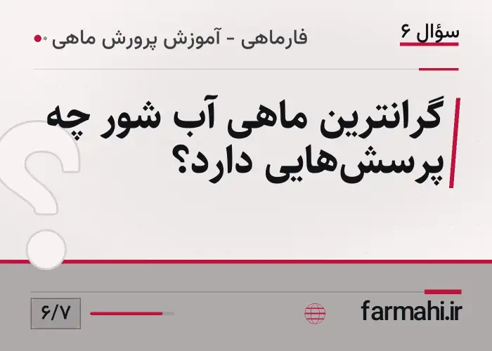 گرانترین ماهی آب شور چه پرسش‌هایی دارد؟