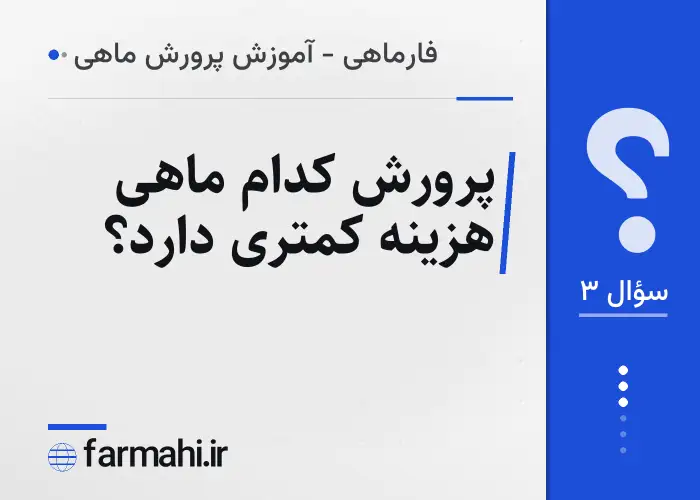 پرورش کدام ماهی هزینه کمتری دارد؟