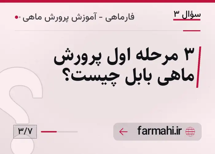۳ مرحله اول پرورش ماهی بابل چیست؟