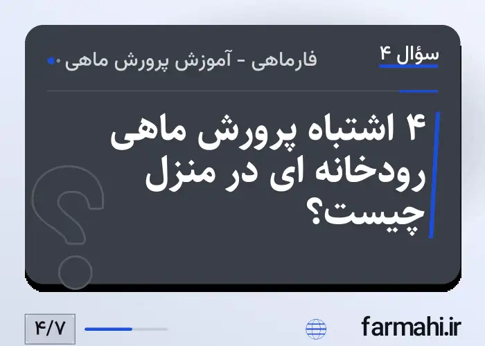 ۴ اشتباه پرورش ماهی رودخانه ای در منزل چیست؟