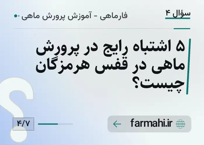 ۵ اشتباه رایج در پرورش ماهی در قفس هرمزگان چیست؟