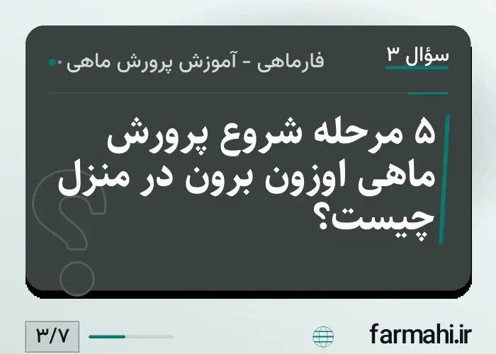 ۵ مرحله شروع پرورش ماهی اوزون برون در منزل چیست؟