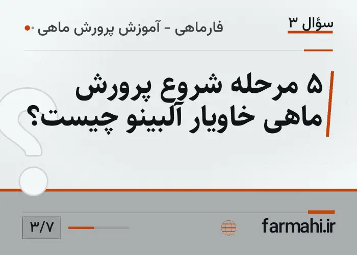 ۵ مرحله شروع پرورش ماهی خاویار آلبینو چیست؟