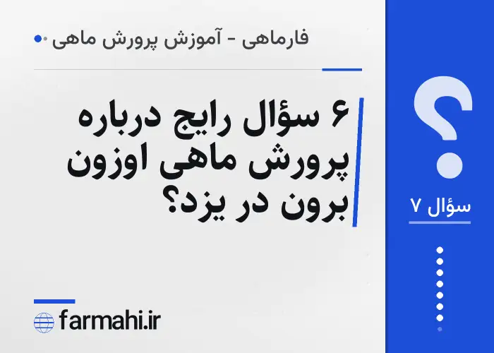 ۶ سؤال رایج درباره پرورش ماهی اوزون برون در یزد؟