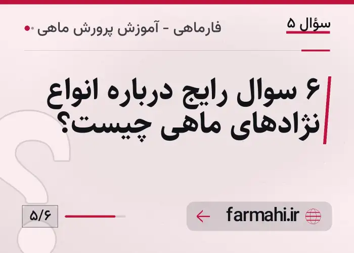 ۶ سوال رایج درباره انواع نژادهای ماهی چیست؟
